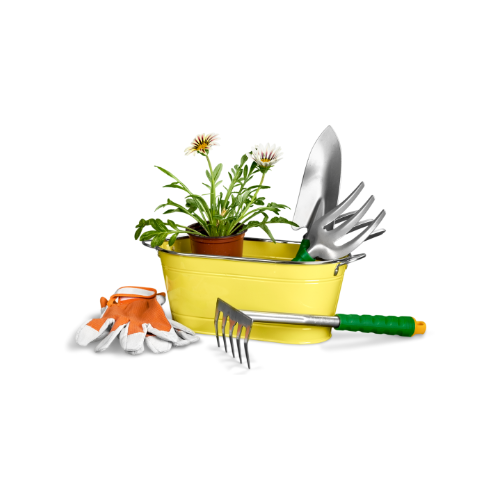Jardinagem e Ferramentas